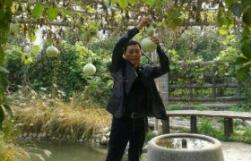 天津宏洋天翔驾校