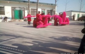 新乡友谊驾校