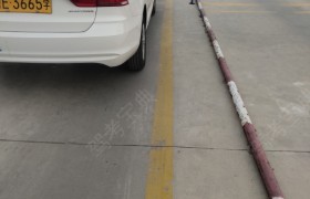 东营奇点驾校