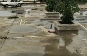 畅亦行驾校