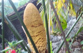 黔西南布依族苗族自治州顺达驾校