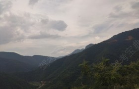 玉溪新兴驾校