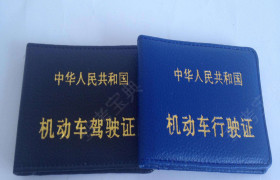 上海高校驾校
