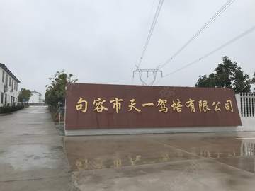 天一驾校