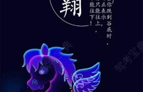 聊城亚太驾校