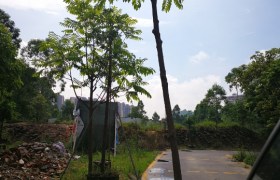 江门富宁驾校