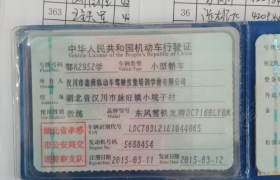 孝感鑫洲驾校