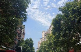 开封顺通驾校