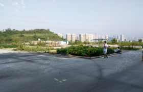 重庆重长司驾校