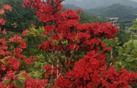 毕节宏强驾校
