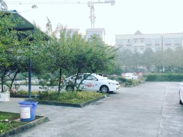 洪川驾校