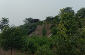 平顶山三利驾校