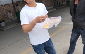 荆州易家驾校