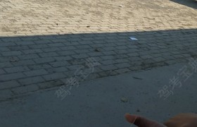聊城合一驾校