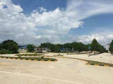 强大驾校