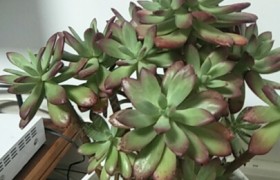 信阳安信驾校