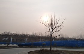 临沂路祥驾校