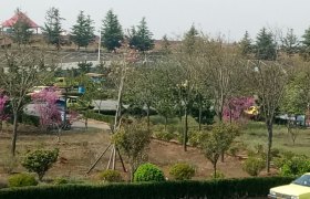 青岛平安驾校