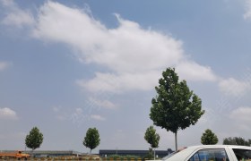 邢台丰州驾校