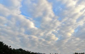 东莞广安驾校