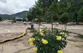凉山彝族自治州金城驾校