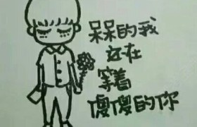 秦皇岛新航驾校