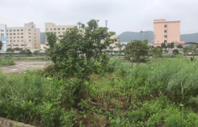 台州承融驾校