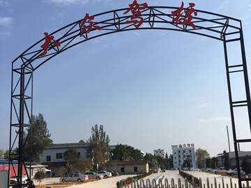 大众驾校