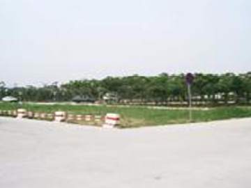 金悦驾校