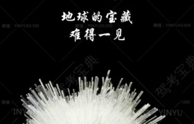 伊犁哈萨克自治州安通驾校
