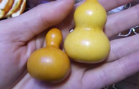 烟台宏安驾校