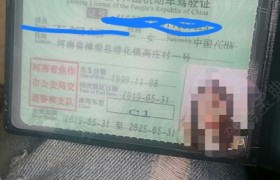 焦作博爱驾校