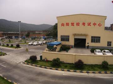 向阳驾校