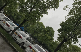 上海公交驾校