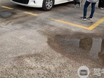 政德驾校