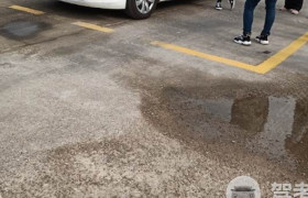 烟台政德驾校