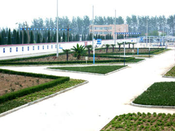顺达驾校