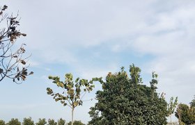 漯河瑞祥驾校