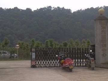 金洲驾校