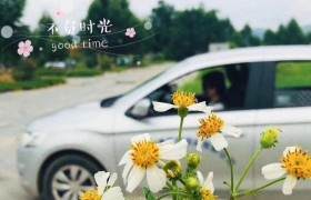 南宁吉泰驾校