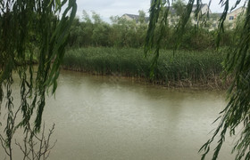 宣城驰丰驾校
