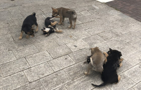 南宁忠振驾校