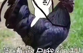 盐城万友驾校