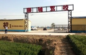 石家庄顺驰驾校