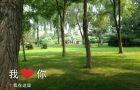 北京鸿益驾校