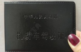 驻马店阳光驾校