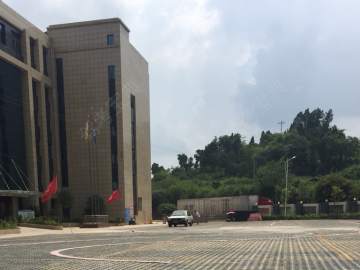 大安驾校