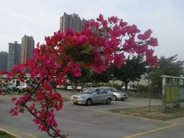 鑫源驾校
