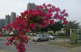 泉州鑫源驾校