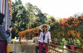 沧州华安驾校